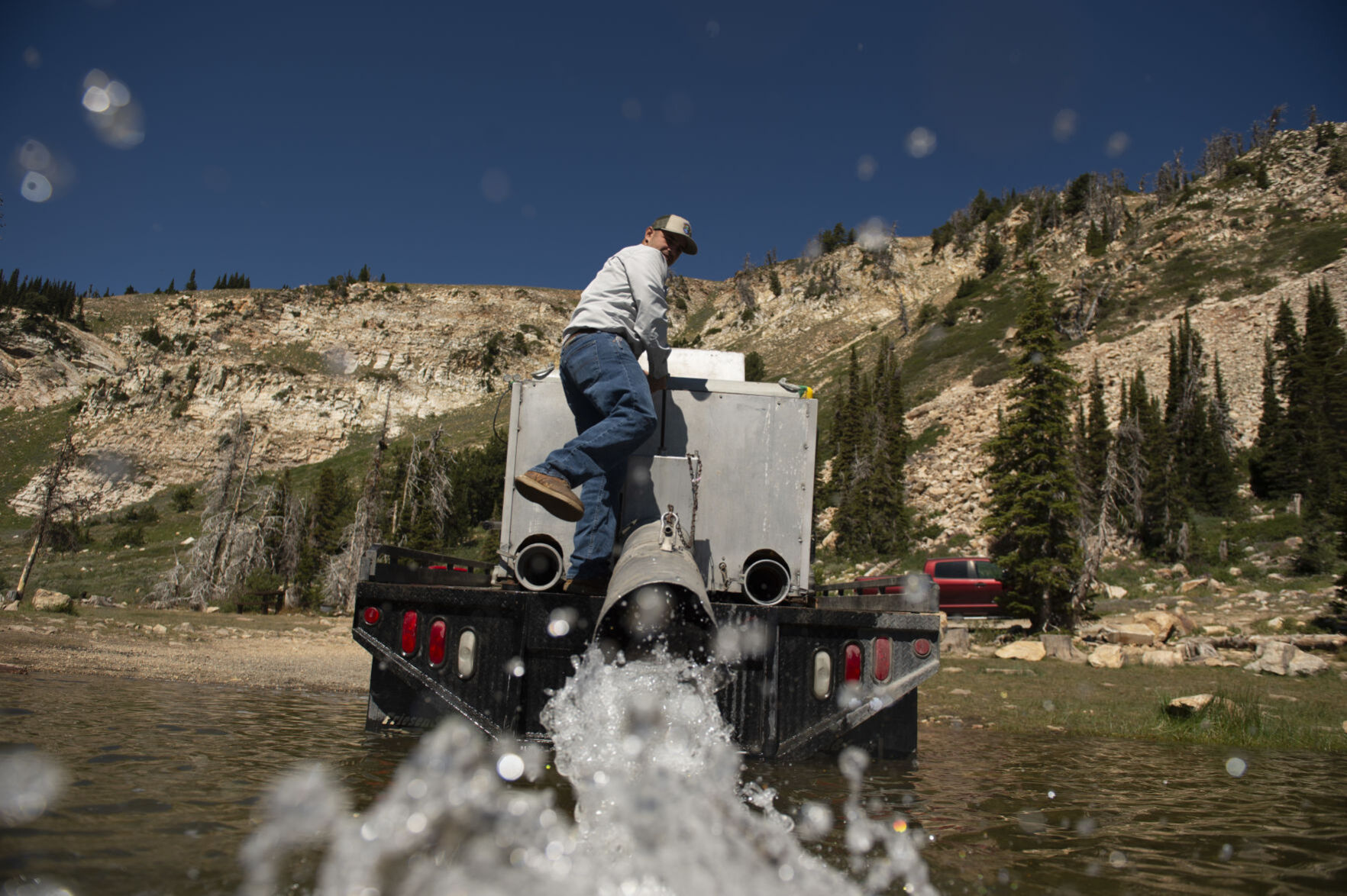Stocking trout in Lake Cleveland
